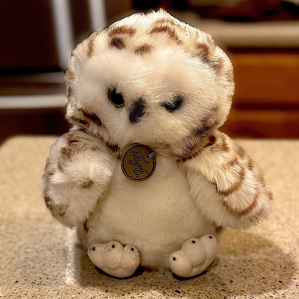 Aurora Adorable Miyoni Snowy Owlet Stuffed Animal ;Lifelike Detail ;White 9”